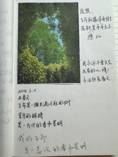 84820